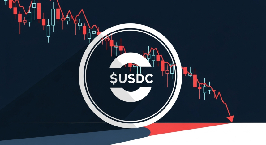 써클 주가 급락에 아크인베스트 재매수…460억 원 규모 분할 투자
