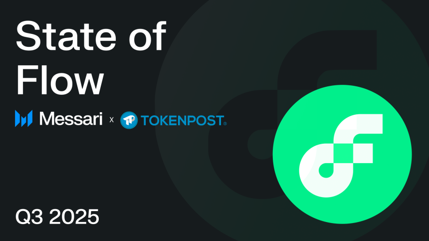 플로우, NFT를 넘어 온체인 금융으로…DeFi·스테이블코인·자동화 분야 급성장