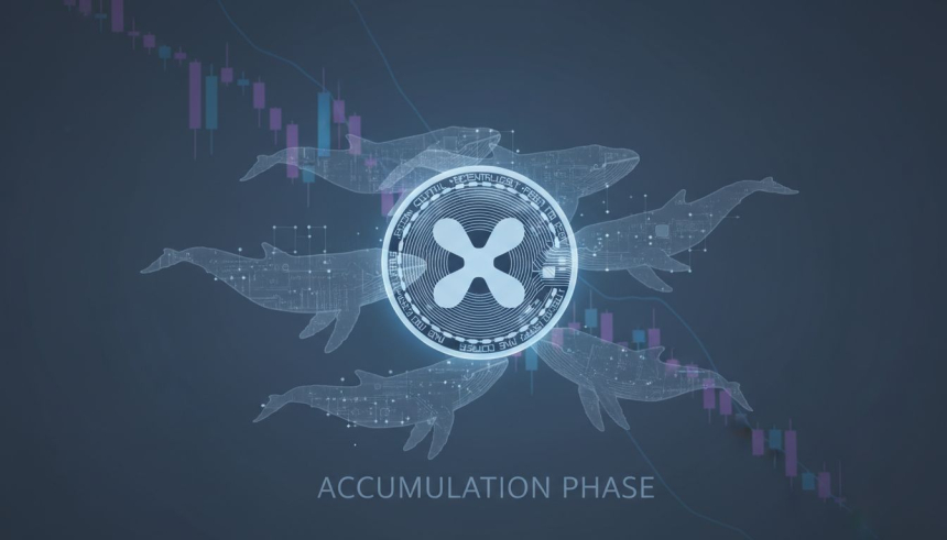  XRP, 고래 매집 본격화…바닥 신호인가 ‘신중한 재포지셔닝’인가