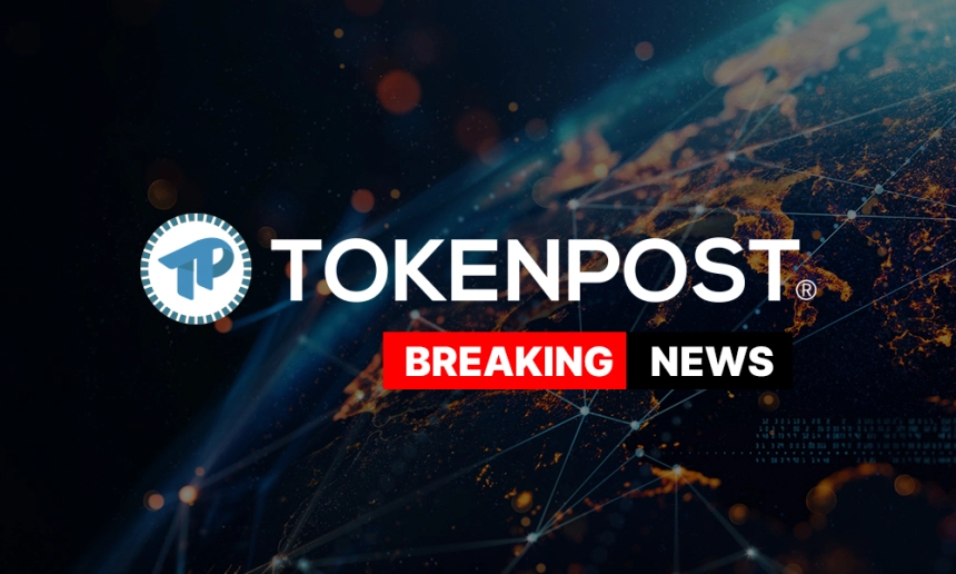 Trust Wallet 업데이트 이후 무단 자금 유출 발생