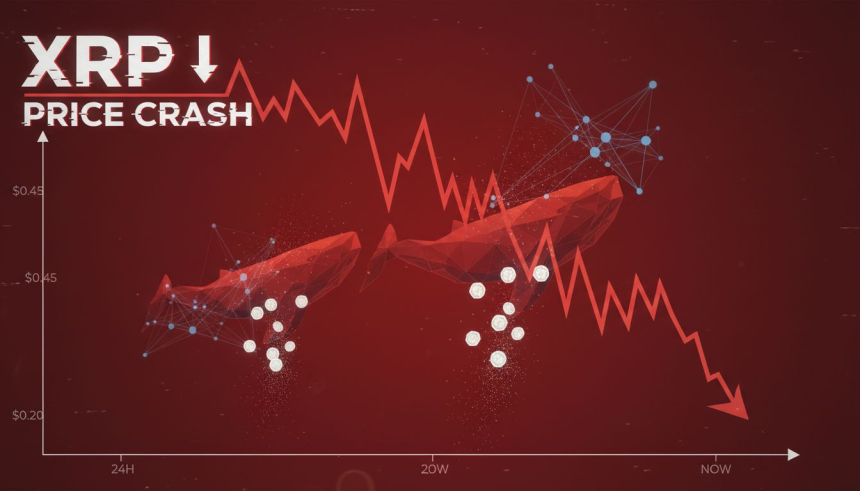  리플(XRP) 최대 55% 급락 신호…고래 매도·네트워크 둔화가 압박