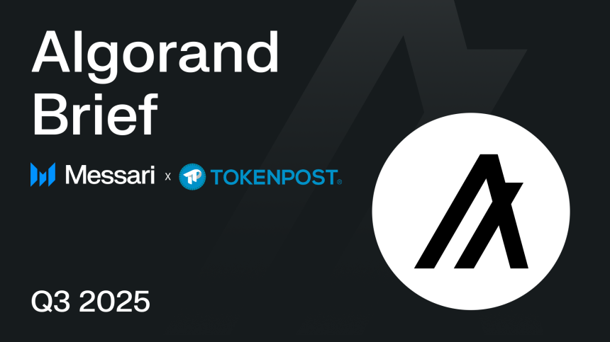 알고랜드, 내실 성장 이어가며 거버넌스·기술·DeFi 확장…메사리 “자립 생태계 가능성 높아”