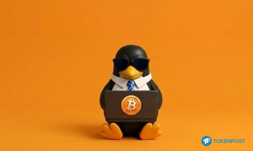  [사설] 암호화폐의 ‘리눅스 모멘트’, 이념의 종말과 실용의 승리