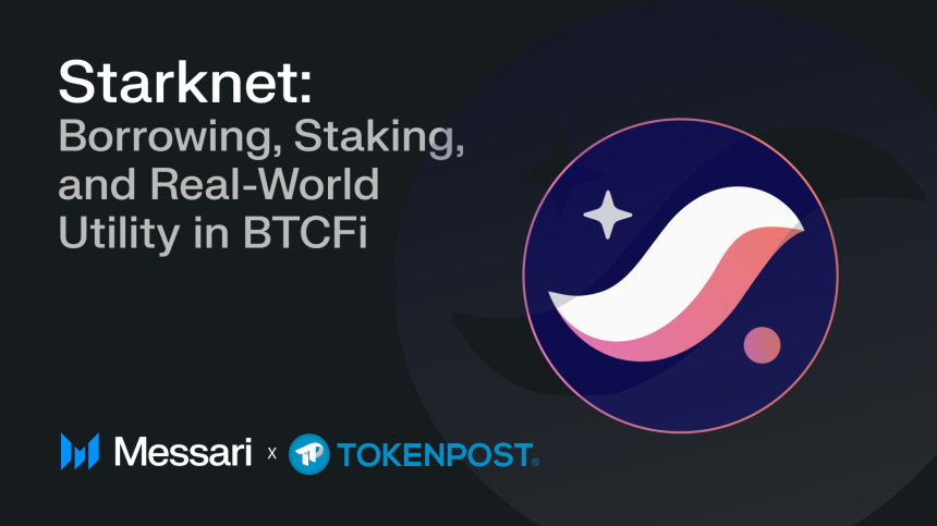 “비트코인을 소비 수단으로”...메사리, BTCFi 성장 속 스타크넷의 실생활 경제 시스템 주목