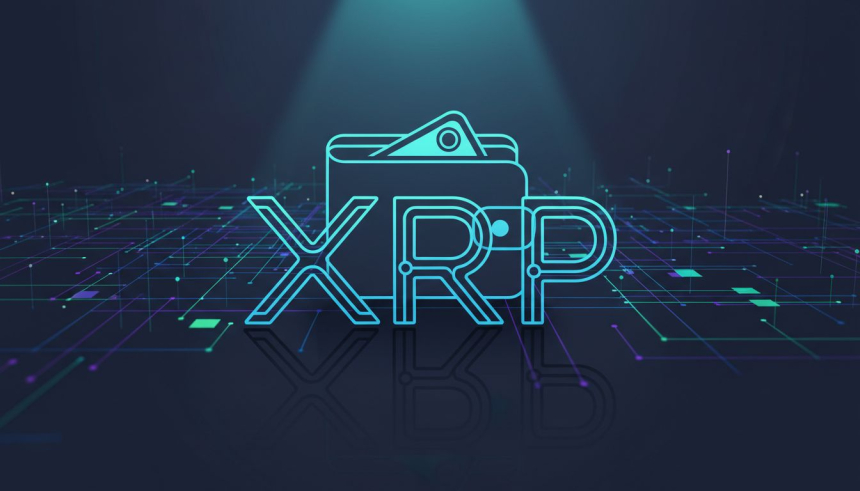  XRP 고래 지갑 수 20% 급감…남아 있는 지갑 보유량은 7년 만에 최대