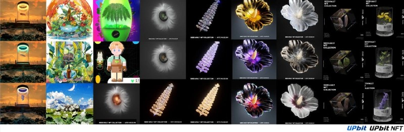 두나무, '시드볼트 NFT 컬렉션' 시즌3 보전지 조성…“기술로 환경 보호 앞장”