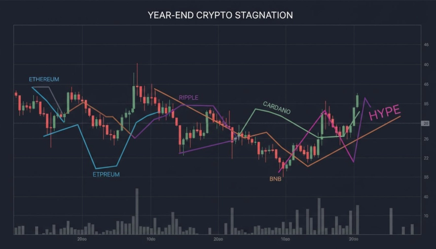 이더리움·리플·에이다, 주요 지지선 무너지며 약세 지속…연말 거래량 저조