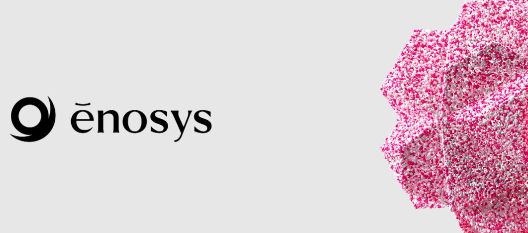 Enosys, Flare에 최초의 XRP 담보 스테이블코인 제공하는 ‘Enosys Loans’ 출시