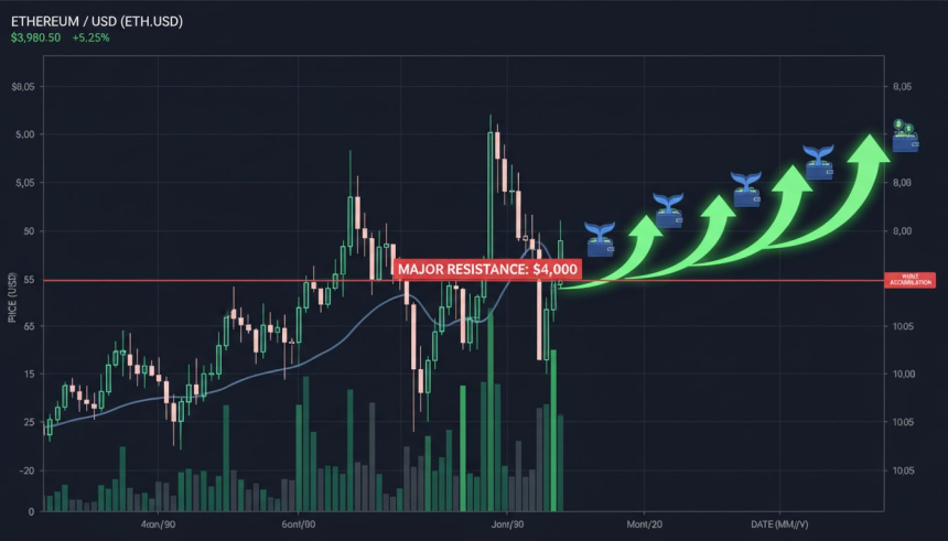  이더리움, 4,800달러 돌파 임박…차트 전문가 '8,500달러까지 열릴 수 있다'