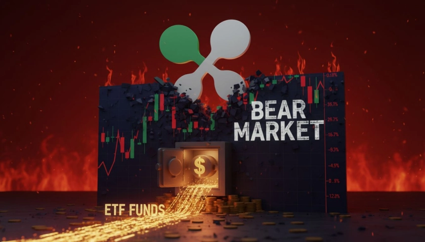 XRP 13개월 만에 지지선 붕괴…ETF는 순유입 지속, 고래 매도세는 계속