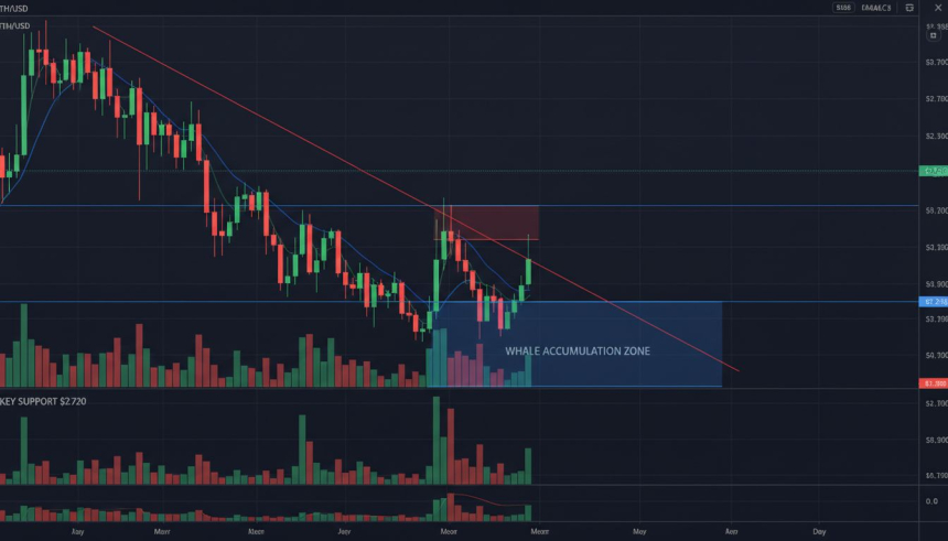  이더리움($ETH), 사상 최강 지지선 근접…고래 매집 다시 시작됐다