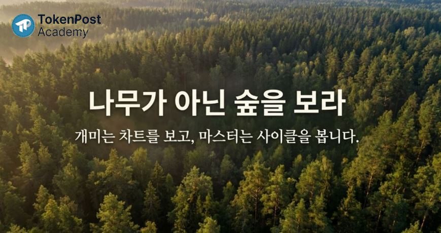 [TP아카데미⑧] 비트코인 4년 주기의 비밀… 나무가 아닌 숲을 보라