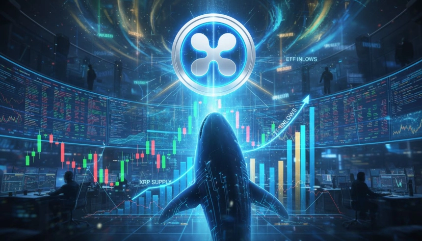 XRP, 30% 급등하며 7주래 최고치…ETF 자금 유입·공급 감소가 견인