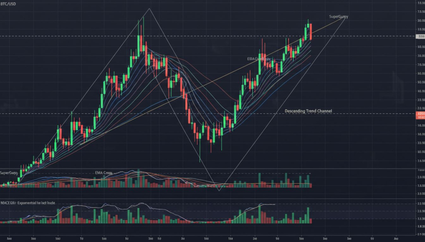 비트코인, 반등에도 '데드 캣 바운스' 경고…SuperGuppy·EMA 100 돌파가 관건