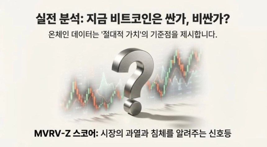 [TP아카데미②] "지금 사도 될까?"… 차트는 속여도 '온체인'은 거짓말을 하지 않는다