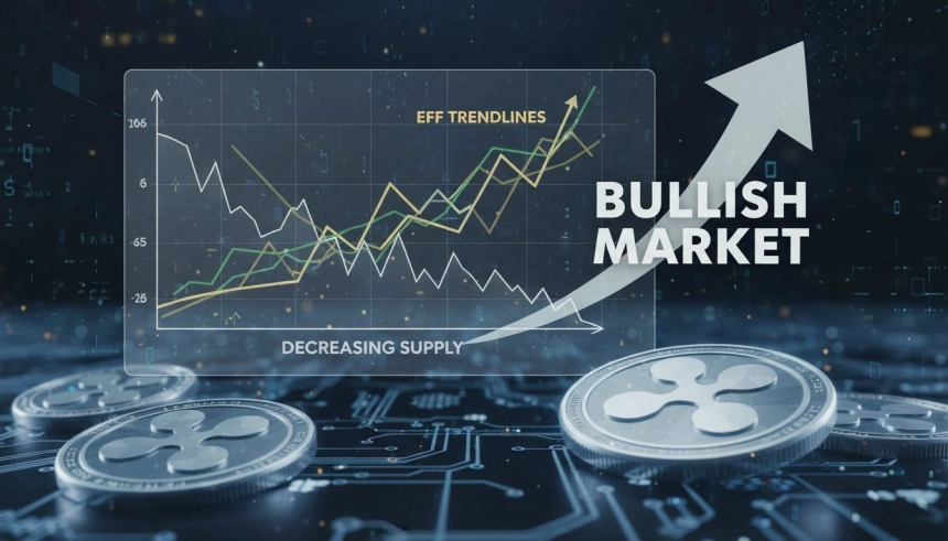 XRP 거래소 공급량 8년래 최저…ETF 유입 속 가격 반등 기대 커져