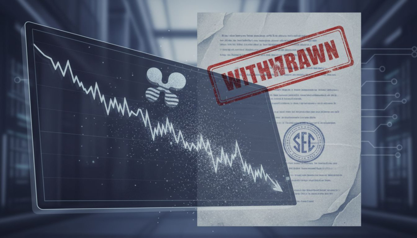  XRP ETF 철회한 위즈덤트리…시장 우려에 593억 원 자금 빠졌다