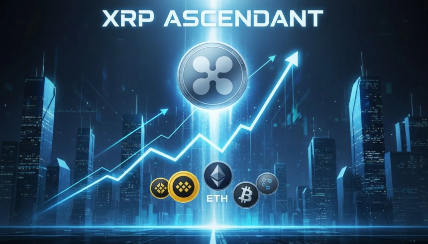 XRP, 3주 만에 최고가 돌파…BNB 제치고 시총 4위 재탈환