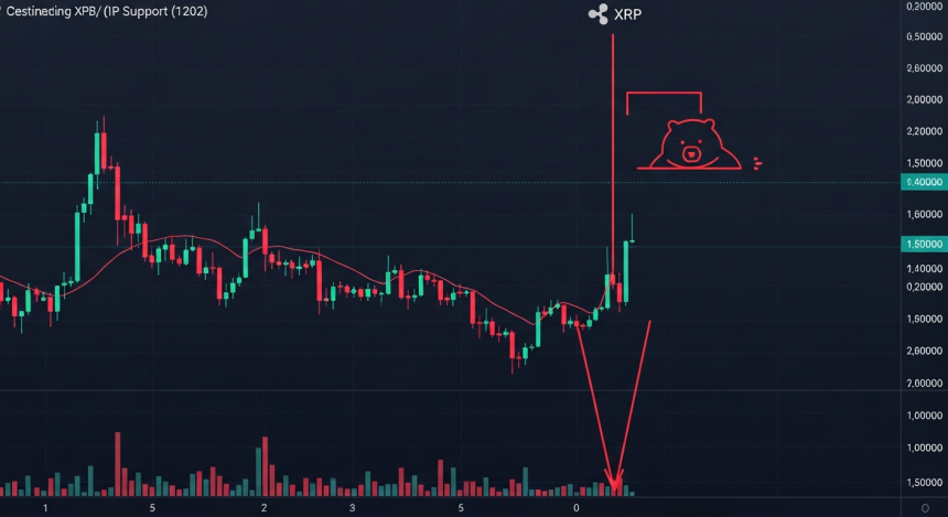  23% 추가 하락 경고… XRP, '1.50달러' 붕괴로 지지선 무너졌다