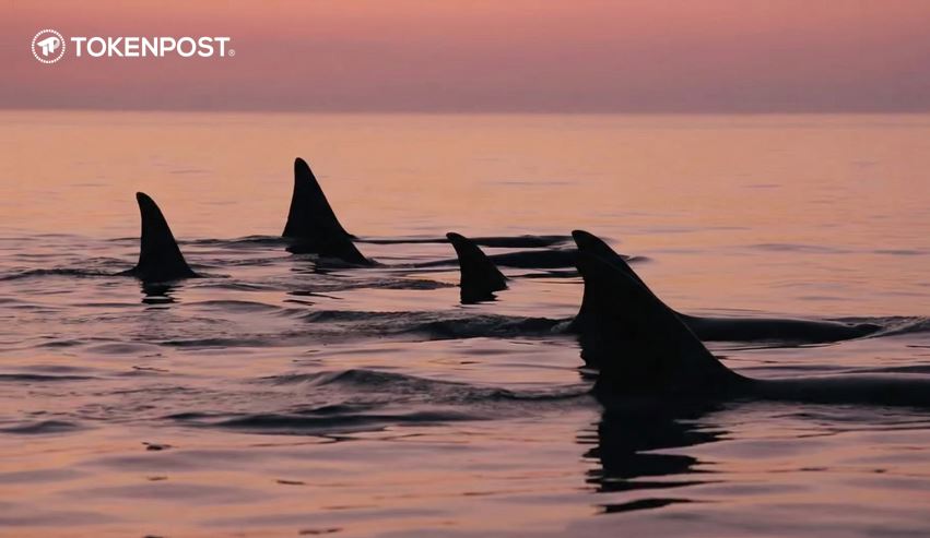 [사설] 비트코인 변동성 속에서 드러난 자본의 계산