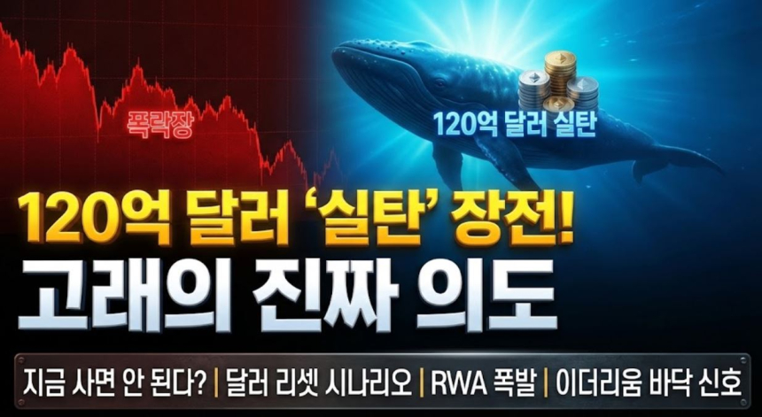  [크립토 인사이트 #10] 거래소로 120억 달러 ‘실탄’ 입금… 고래들은 매수 대신 ‘이것’ 노린다