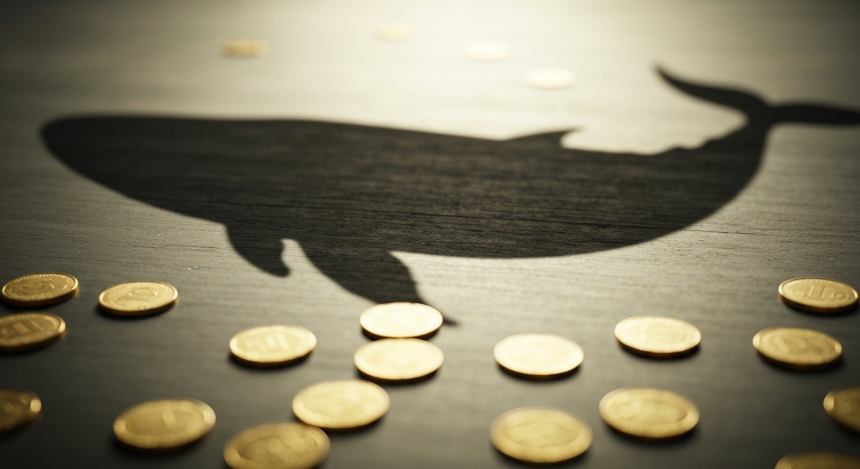  비트코인 고래 지갑은 늘었지만…현물·선물 유동성 약화에 추세 전환 ‘이르다’