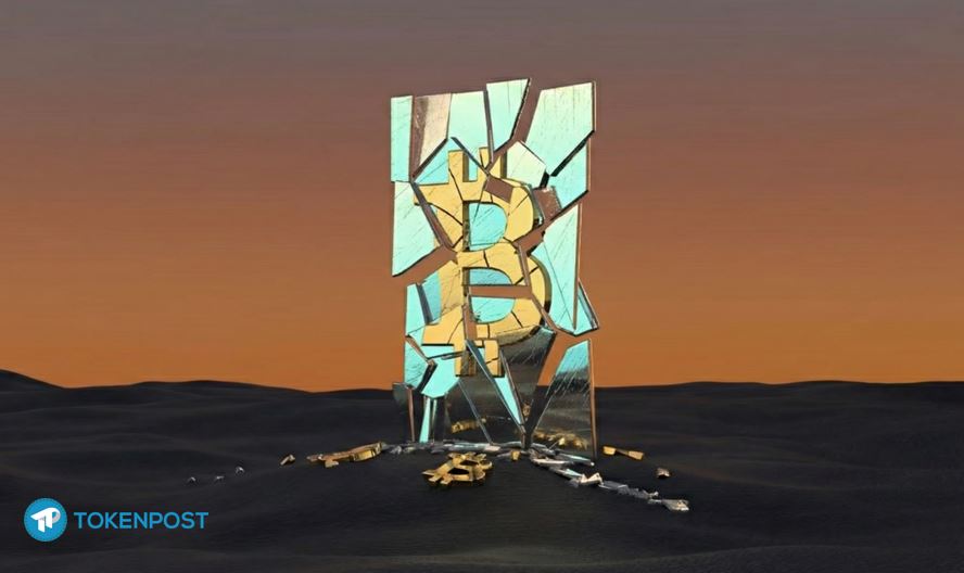 [사설] 트럼프 당선 후 더 떨어진 비트코인, 우리는 신기루를 좇았나