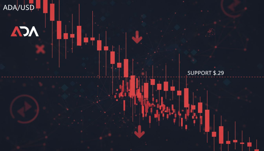  0.29달러 지지선 '붕괴 직전'… 에이다, ETF 퇴출 후 하락 본격화하나
