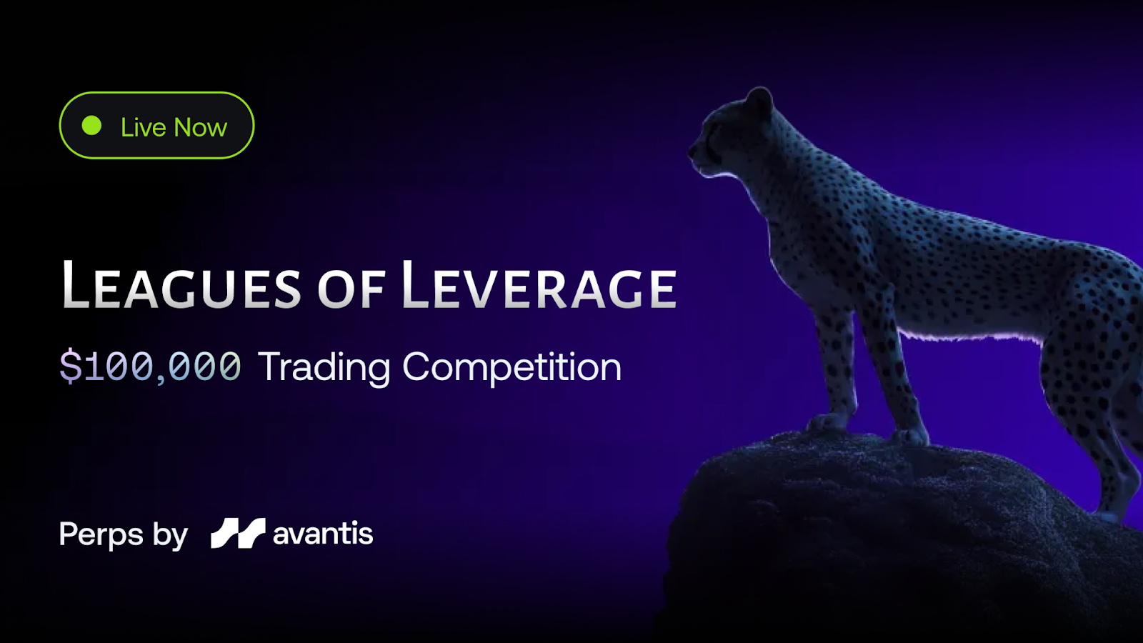  Avantis, Base 앱에서 ‘Leagues of Leverage’ 출시…총 10만 달러 규모 트레이딩 대회 진행 