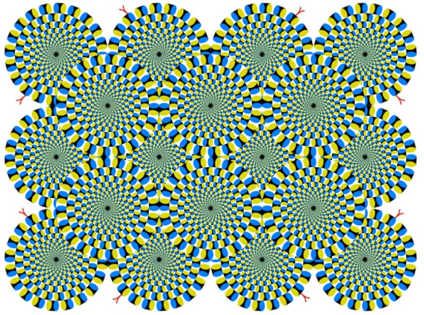 [사설] 암호화폐 시장의 집단 환상: 우리는 진짜 현실을 보고 있는가?