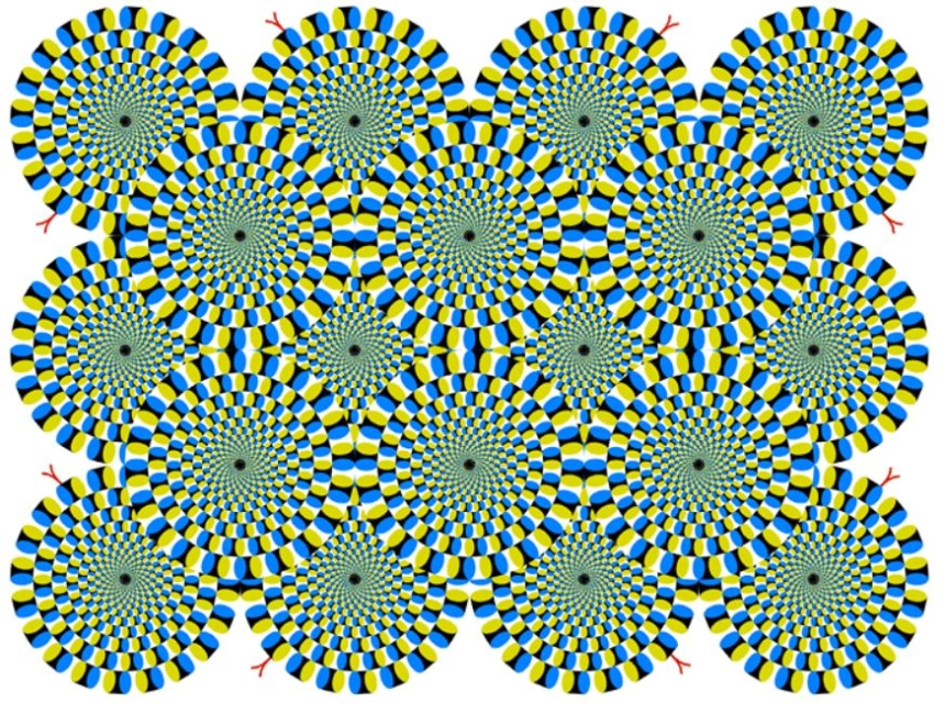 [사설] 암호화폐 시장의 집단 환상: 우리는 진짜 현실을 보고 있는가?