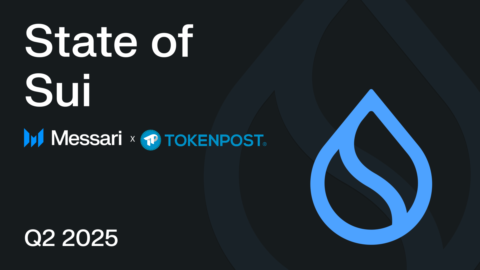 수이, 2025년 투자 접근성 확대와 DeFi 성장으로 주목