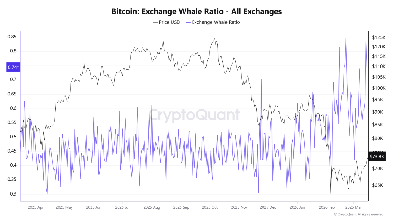 “변동성 확대 신호”…고래 거래 비중 상승·코인베이스 프리미엄 약세