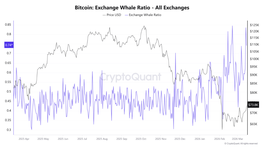 “변동성 확대 신호”…고래 거래 비중 상승·코인베이스 프리미엄 약세