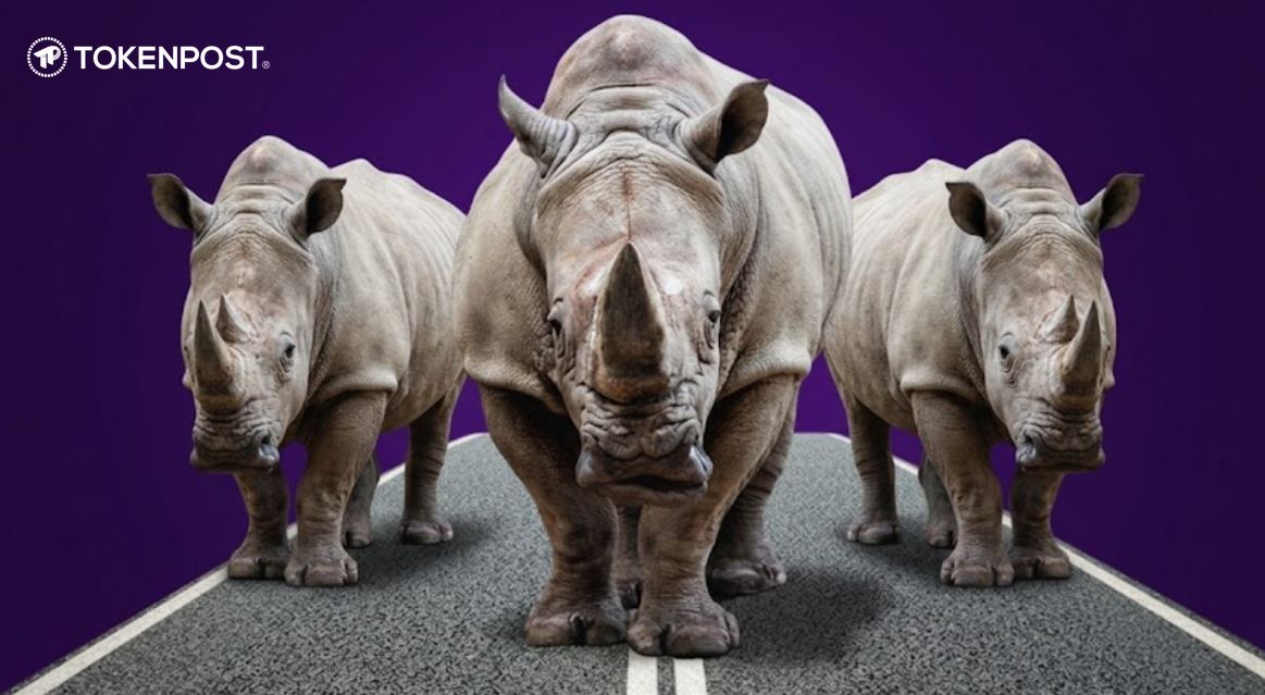 [사설] 예고된 위기를 외면하는 자, 코뿔소에 밟힐 것이다