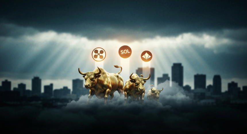  제미니 AI, XRP·솔라나·에이다 ‘규제·기관자금’ 변수에 중장기 랠리 가능성 제시