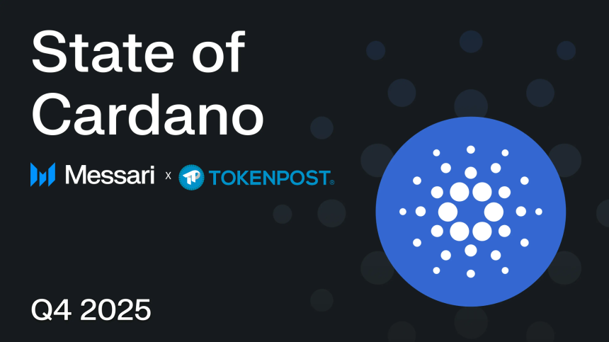 카르다노, 펜타드 얼라이언스로 글로벌 입지 강화…메사리, 성장 전략 분석