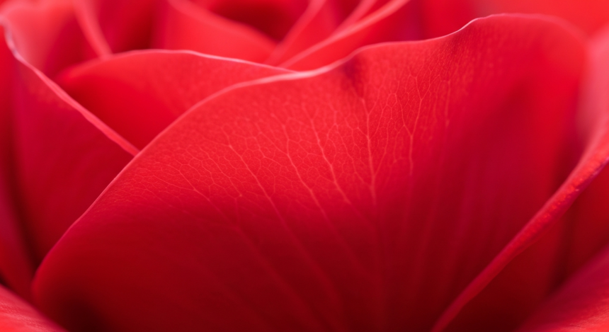  비트코인 현물 ETF, 한 달 만에 순유출 전환…모건스탠리 ‘MSBT’ 출시 변수로