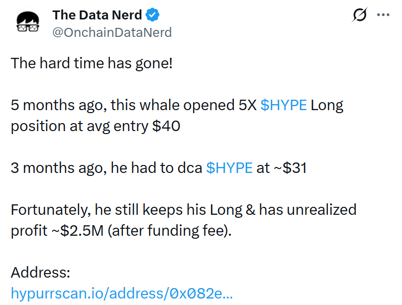 HYPE 강세 속 고래 레버리지 포지션 수익 전환…하락장 버틴 롱 전략 부각