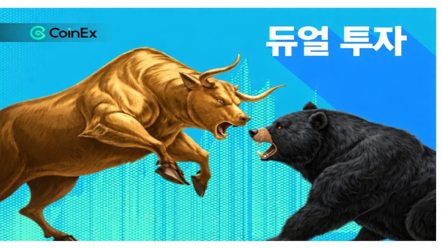 CoinEx 듀얼 인베스트먼트란 무엇인가…상승장·하락장 모두 활용 가능한 구조화 투자 전략