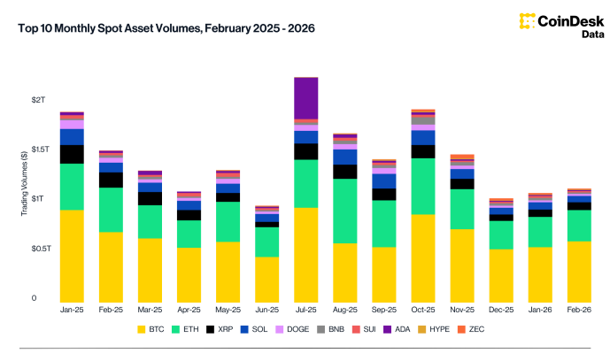  CEX 현물 거래량 ‘BTC·ETH 압도’…XRP·SOL 뒤이어