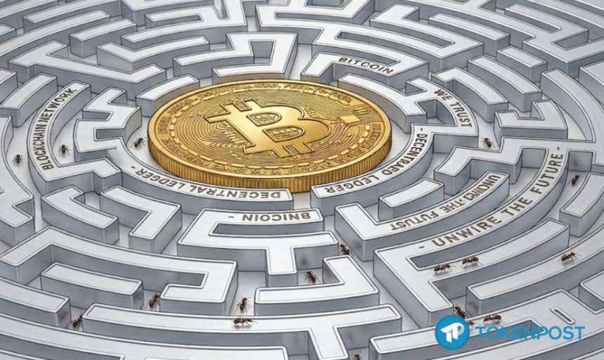 [칼럼] 당신은 플레이어인가, 유동성인가 — 게임이론으로 보는 비트코인 시장