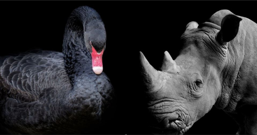  [경제분석] 코린이들이 모르는 것: 이건 블랙스완이 아니라, 예고된 코뿔소다