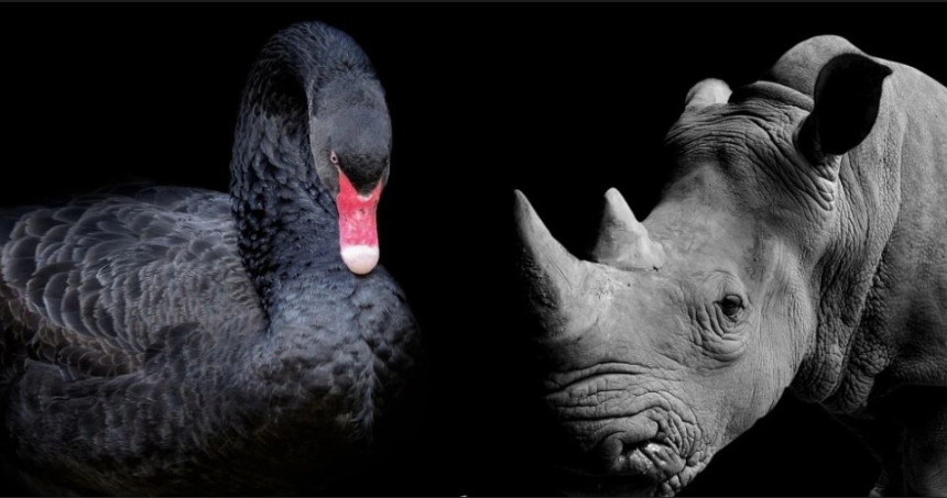 [경제분석] 코린이들이 모르는 것: 이건 블랙스완이 아니라, 예고된 코뿔소다