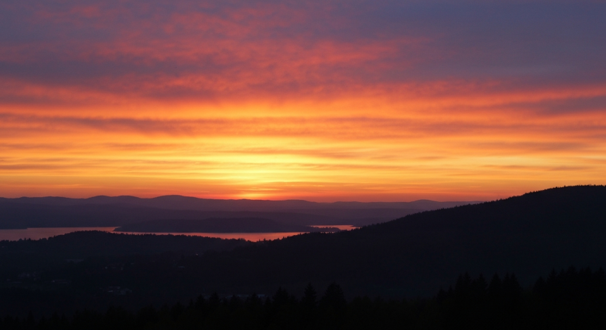  트럼프 ‘친 크립토’ 기대 재점화…비트코인 향방은 결국 유동성이 좌우
