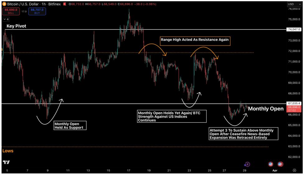 비트파이넥스알파 주간 보고서 