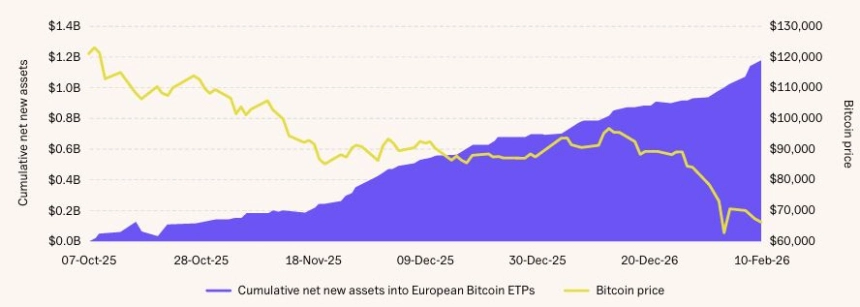 [토큰분석] 비트코인, 포트폴리오의 보험이 되다 — 기관 투자자가 주목해야 할 3 가지 이유