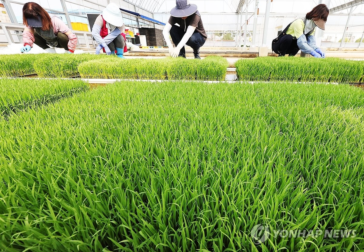 미래농업, 인공지능과 로봇으로 재편: 농촌진흥청의 혁신 발표