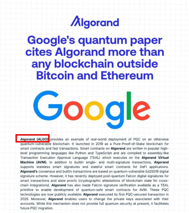 구글 보고서에 등장한 이 코인.. 50% 넘게 급등