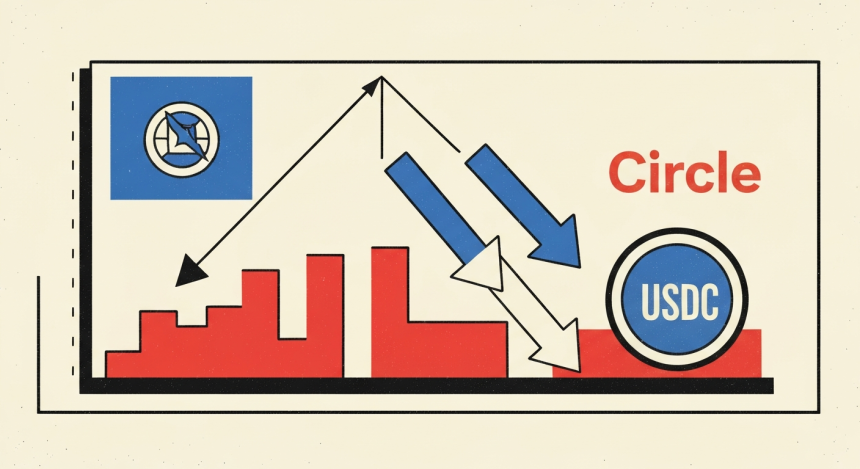 서클, USDC 성장에도 수익성 우려… 파트너 배분 확대에 9.89% 급락